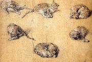 GAINSBOROUGH, Thomas Six studies of a cat Spain oil painting artist